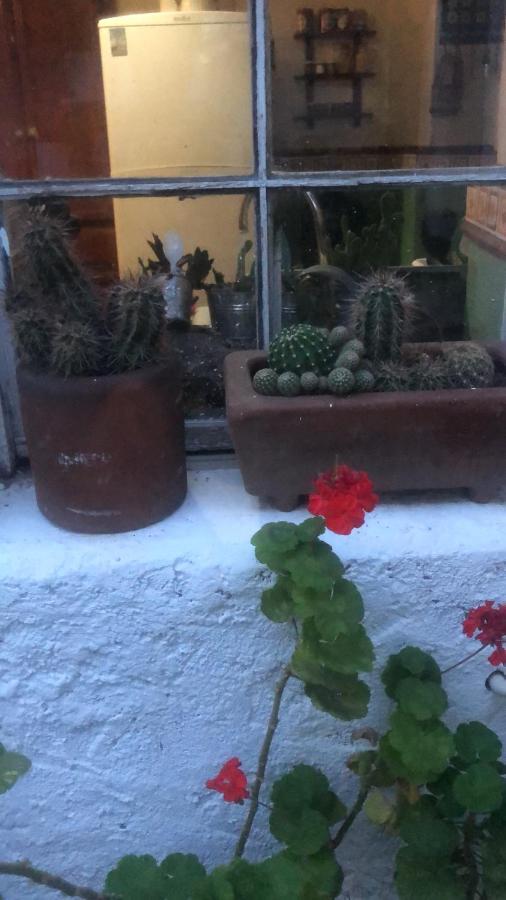 Home Stay Maria Hidalgo del Parral Extérieur photo
